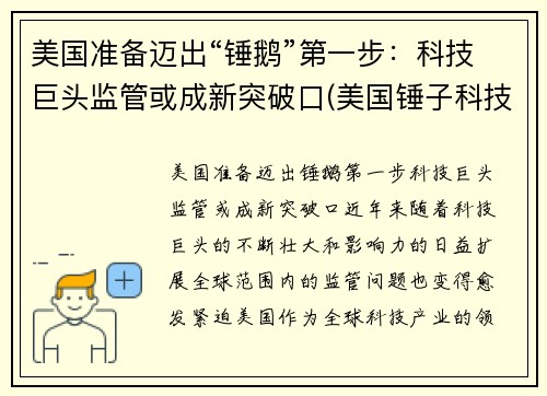 美国准备迈出“锤鹅”第一步：科技巨头监管或成新突破口(美国锤子科技有限公司)