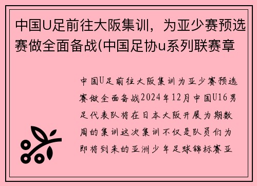 中国U足前往大阪集训，为亚少赛预选赛做全面备战(中国足协u系列联赛章程)