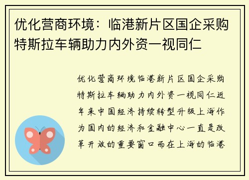 优化营商环境：临港新片区国企采购特斯拉车辆助力内外资一视同仁