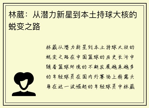林葳：从潜力新星到本土持球大核的蜕变之路