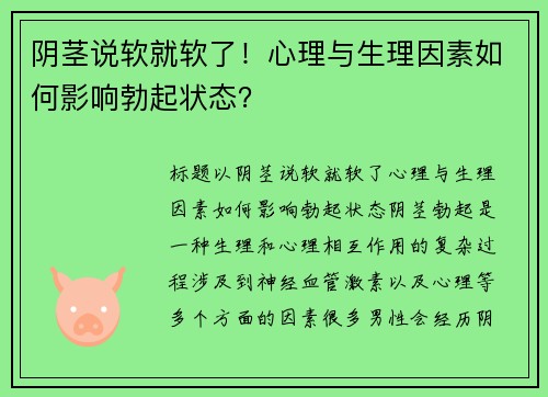 阴茎说软就软了！心理与生理因素如何影响勃起状态？
