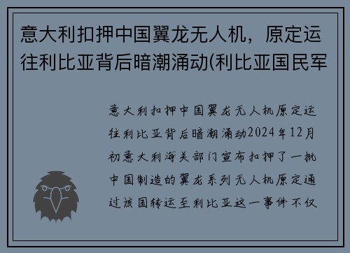 意大利扣押中国翼龙无人机，原定运往利比亚背后暗潮涌动(利比亚国民军翼龙无人机)